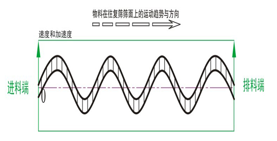 精密回旋篩物料運行軌跡